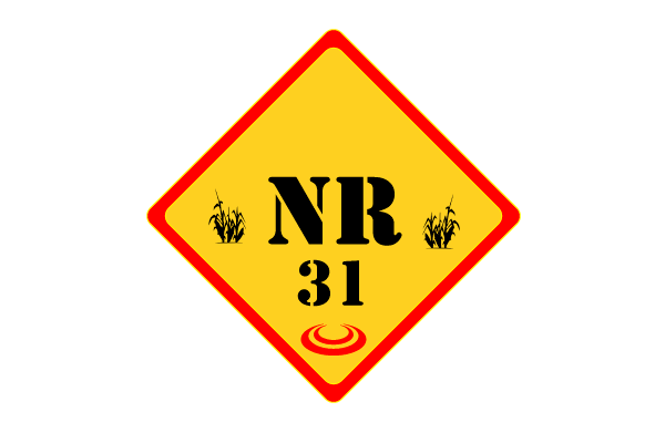 NR 31